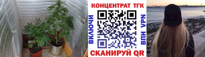 ТГК Wax  Купить закладки  Ветлуга 