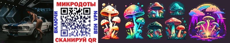 Купить  Ветлуга  Галлюциногенные грибы Psilocybe 