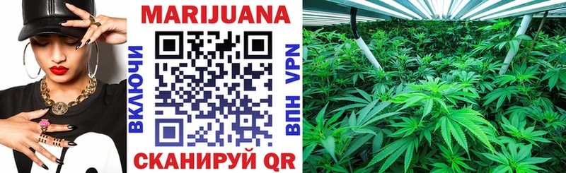 Купить закладки  Ветлуга  Бошки марихуана THC 21% 